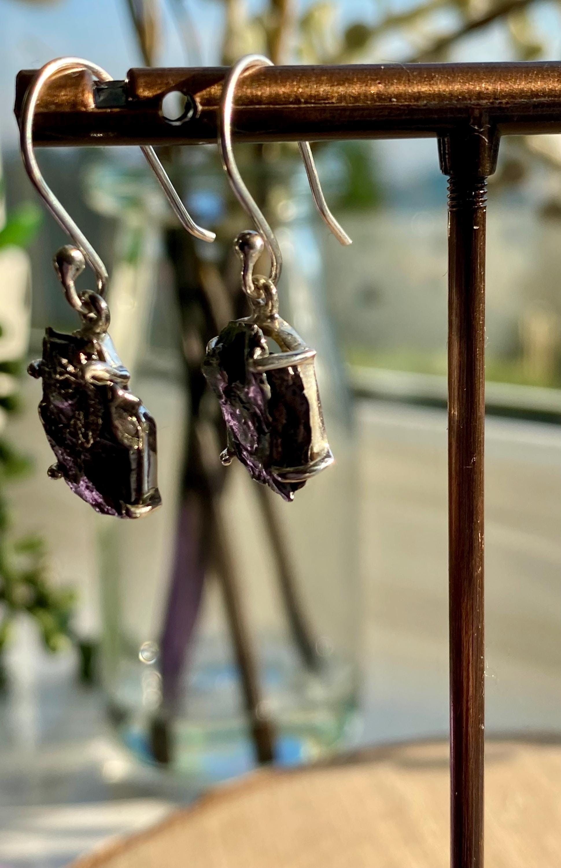 Meteorite Campo Del Cielo Silver Dangle Earrings