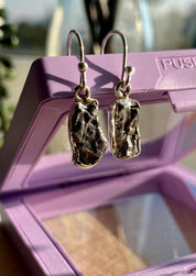 Meteorite Campo Del Cielo Sterling Silver Dangle Earrings