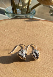 Meteorite Campo Del Cielo Sterling Silver Dangle Earrings