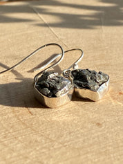 Meteorite Campo Del Cielo Sterling Silver Dangle Earrings