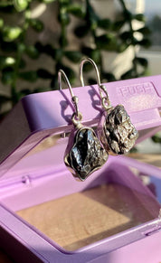 Meteorite Campo Del Cielo Sterling Silver Dangle Earrings