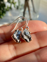 Meteorite Campo Del Cielo Silver Dangle Earrings