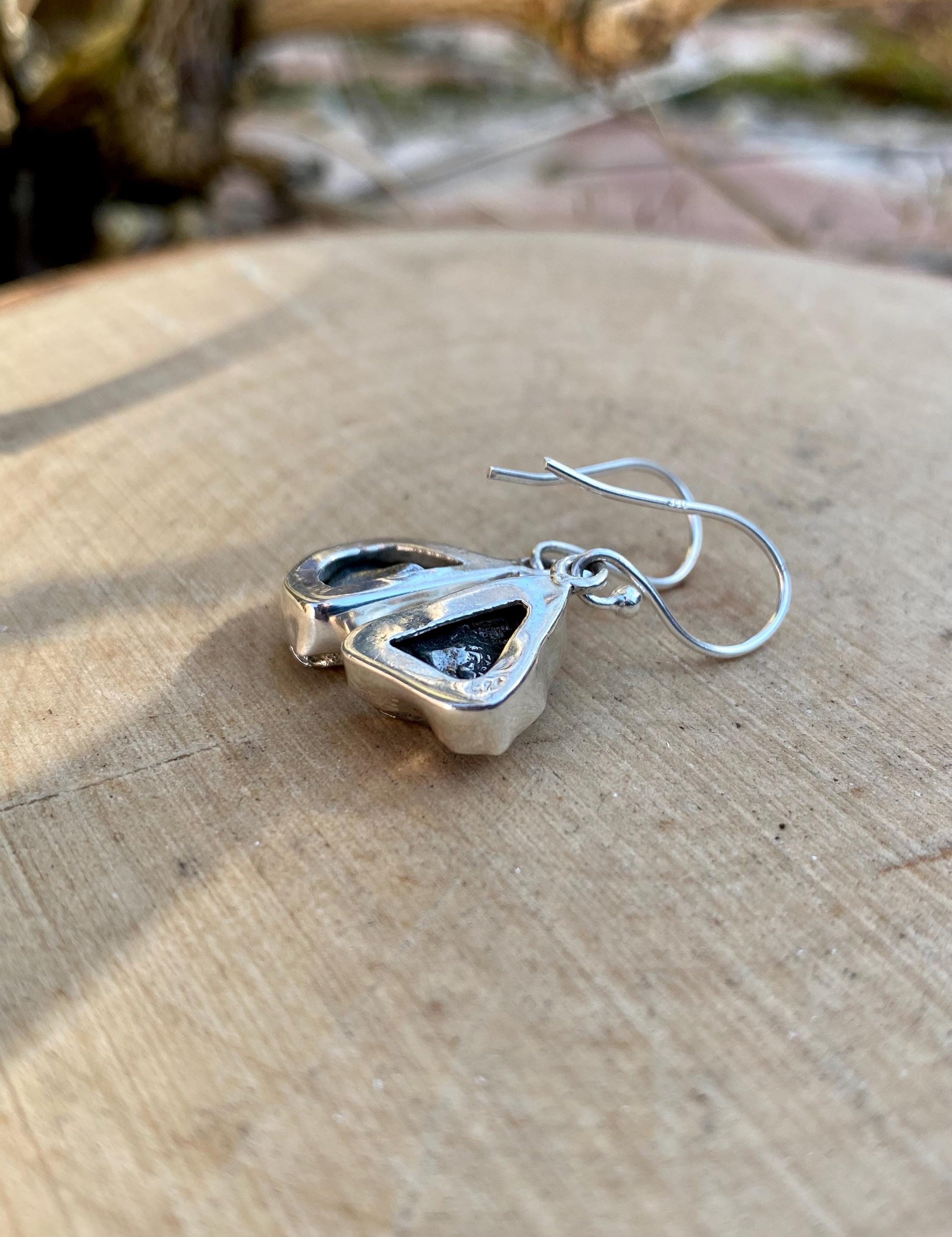 Meteorite Campo Del Cielo and Silver Dangle Earrings