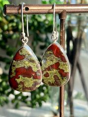 Natural Dragon Bloodstone Sterling Silver Dangle Earrings
