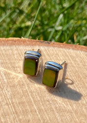 Natural Ammolite Sterling Silver Stud Earrings