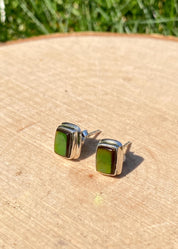 Natural Ammolite Sterling Silver Stud Earrings