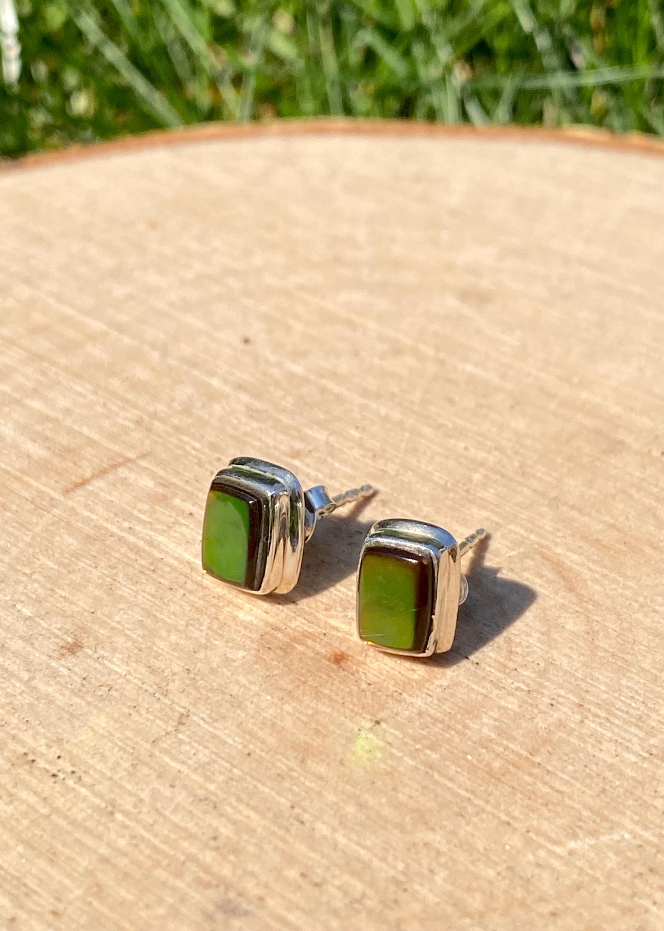 Natural Ammolite Sterling Silver Stud Earrings
