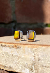 Natural Ammolite Sterling Silver Stud Earrings
