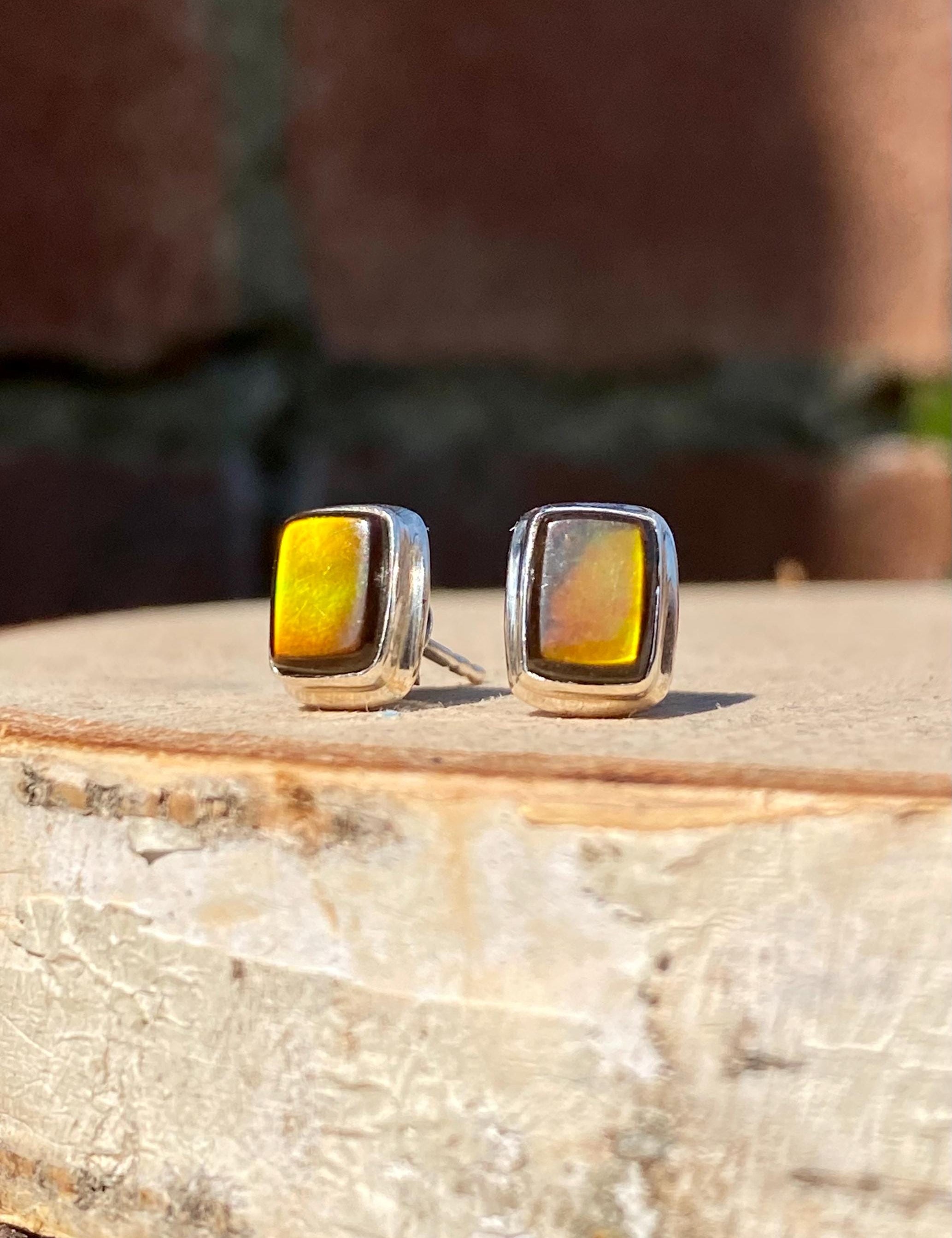 Natural Ammolite Sterling Silver Stud Earrings