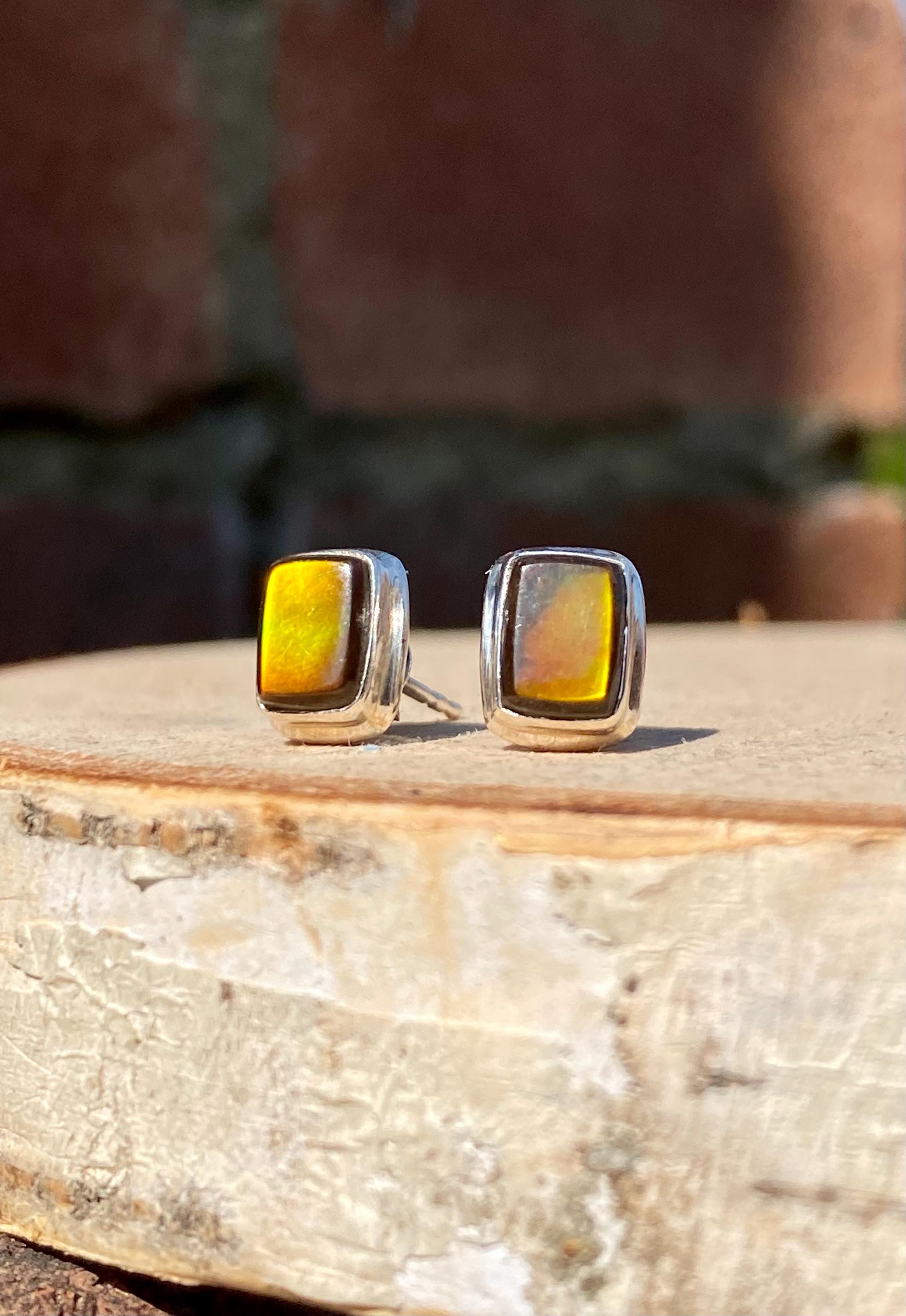 Natural Ammolite Sterling Silver Stud Earrings