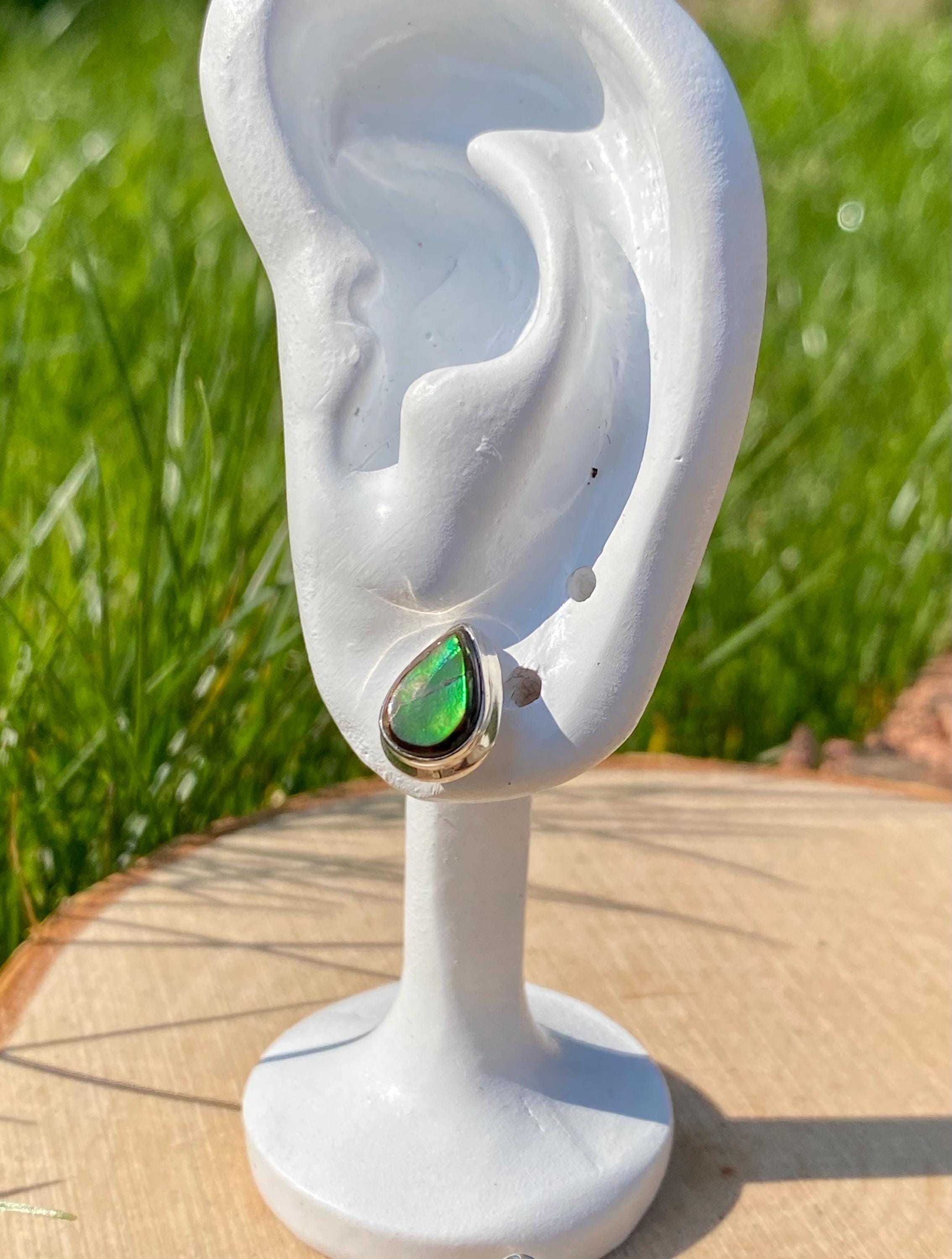 Natural Ammolite Sterling Silver Stud Earrings
