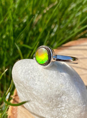 Iridescent Ammolite Sterling Silver Ring - Size US 7