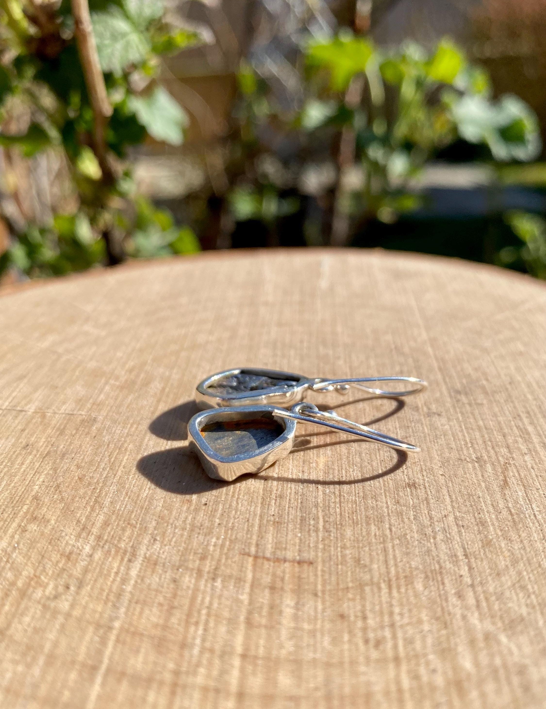Meteorite Campo Del Cielo and Silver Dangle Earrings
