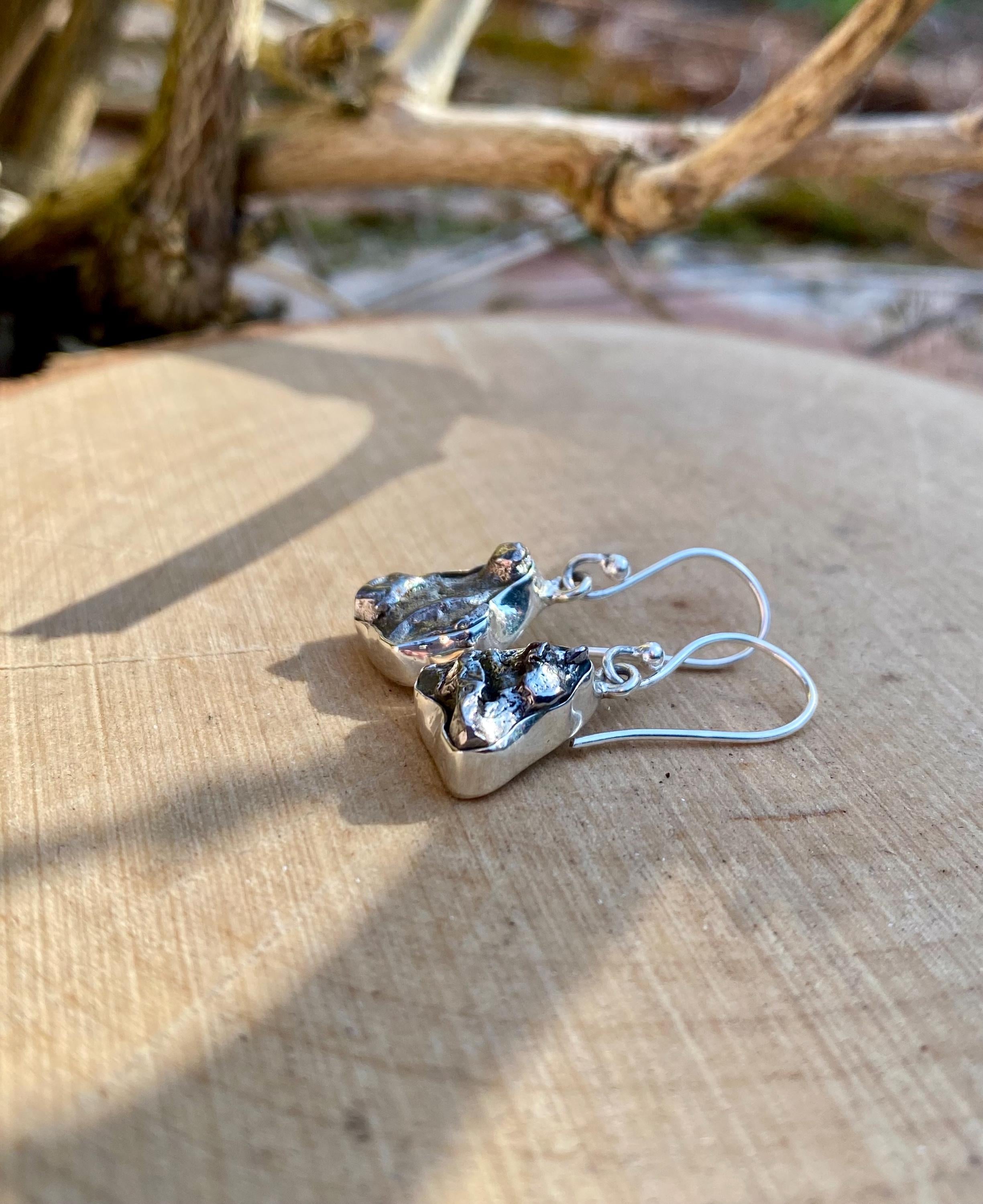 Meteorite Campo Del Cielo and Silver Dangle Earrings