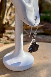 Meteorite Campo Del Cielo and Silver Dangle Earrings