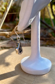 Meteorite Campo Del Cielo and Silver Dangle Earrings