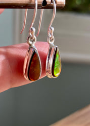 Ammolite Sterling Silver Teardrop Dangle Earrings