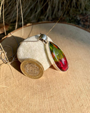 Watermelon Tourmaline Silver Teardrop Pendant (M11)