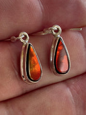 Ammolite Sterling Silver Teardrop Dangle Earrings