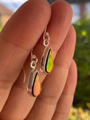 Ammolite Sterling Silver Teardrop Dangle Earrings