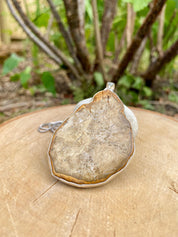 Petrified Wood Slice Pendant, Pear Cut 51mm x 40mm, Sterling Silver, Handmade UK gift