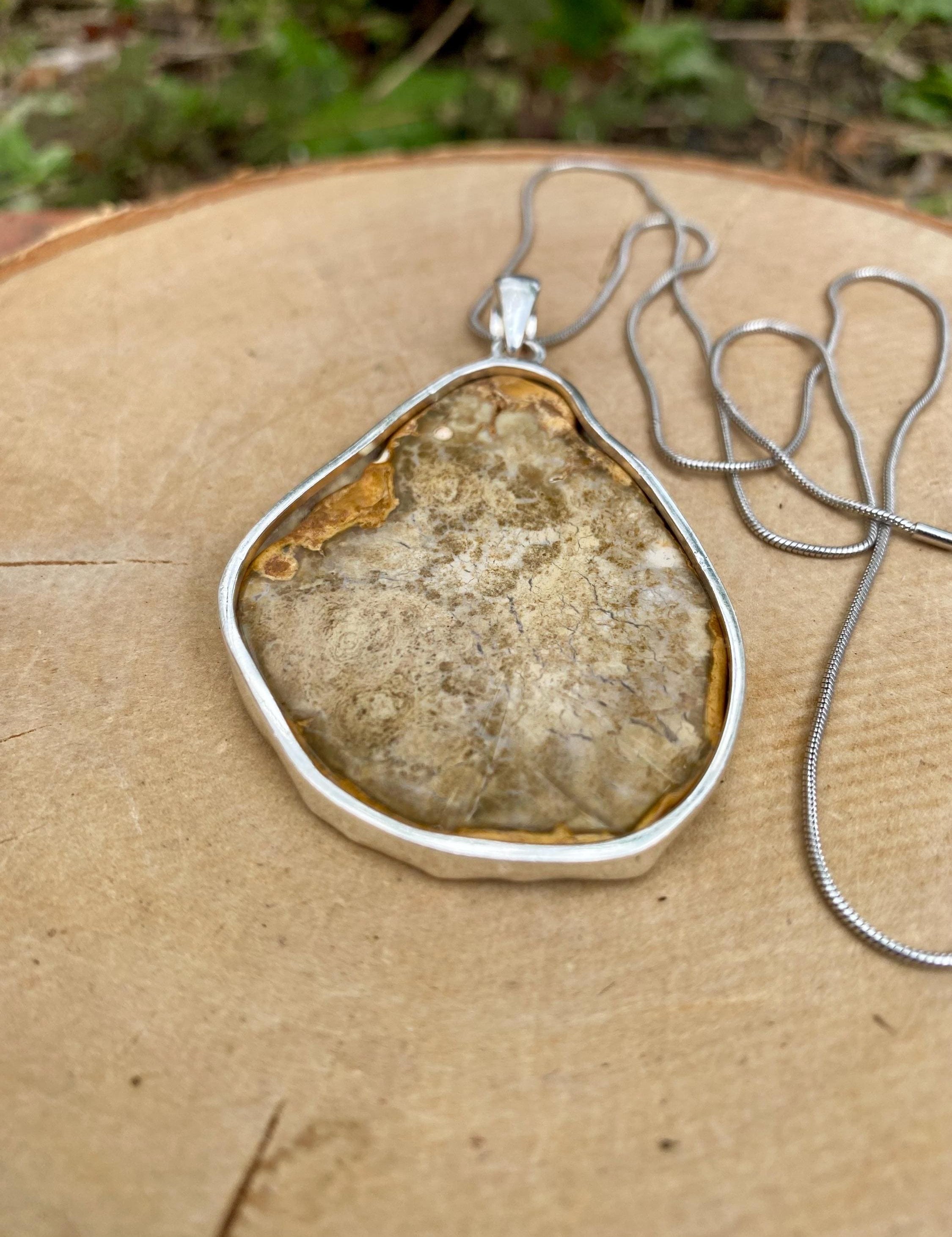 Hexagon Cut Petrified Wood slice Sterling Silver Pendant