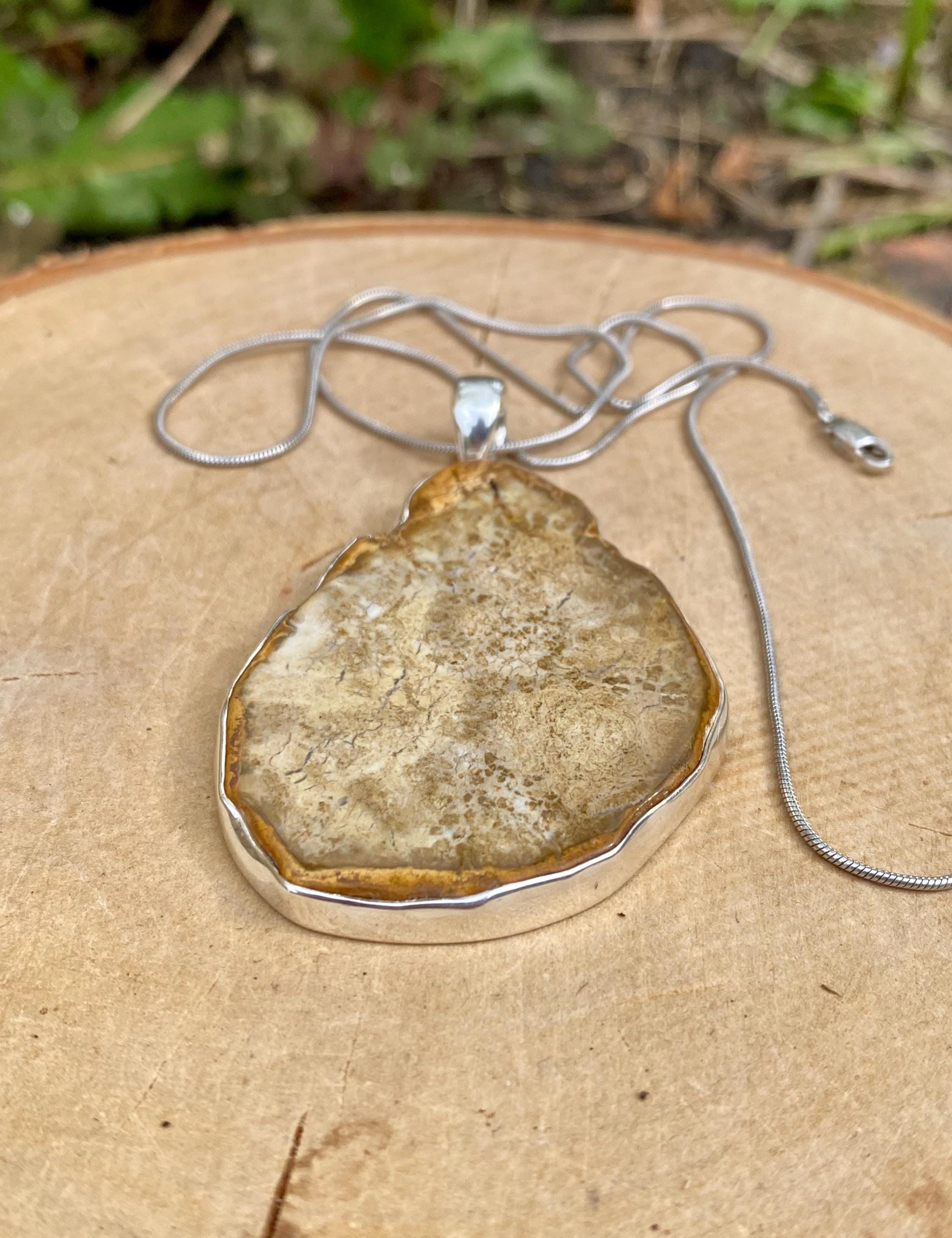 Hexagon Cut Petrified Wood slice Sterling Silver Pendant