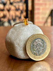 Mandarin Spessartite Garnet and Silver Ring