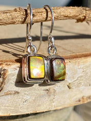 Ammolite Sterling Silver Rectangular Dangle Earrings