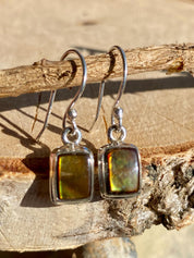 Ammolite Sterling Silver Rectangular Dangle Earrings