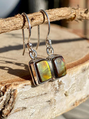 Ammolite Sterling Silver Rectangular Dangle Earrings