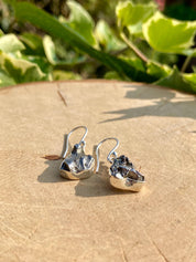 Meteorite Campo Del Cielo and Silver Dangle Earrings
