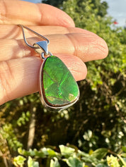 Iridescent Ammolite Pendant: Sterling Silver Pear-Cut Gemstone