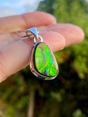 Iridescent Ammolite Pendant: 925 Sterling Silver, Alberta Gemstone