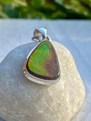 Ammolite Pendant: Iridescent Gemstone, Sterling Silver, Alberta Canada