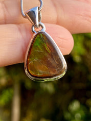 Ammolite Pendant: Iridescent Gemstone, Sterling Silver, Alberta Canada