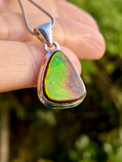 Ammolite Pendant: Iridescent Gemstone, Sterling Silver, Alberta Canada