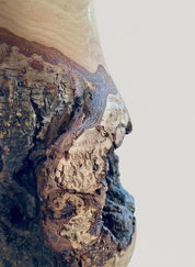 Handmade Elm Burr/Burl, Wooden Vase Hand-Turned Solid Wood, Rustic Natural Decor
