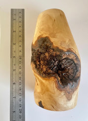 Hand-Turned Elm Burr Wooden Vase – Natural Burl Art