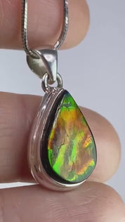 Ammolite Silver Pendant