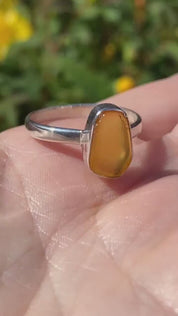 Baltic Amber Sterling Silver Ring