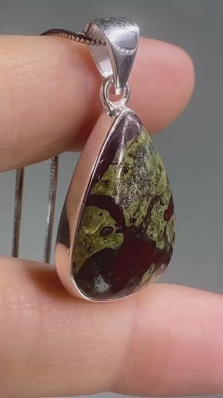 African Dragon Bloodstone and Silver Pendant