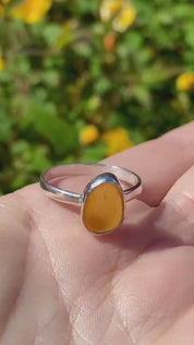 Baltic Amber Sterling Silver Ring