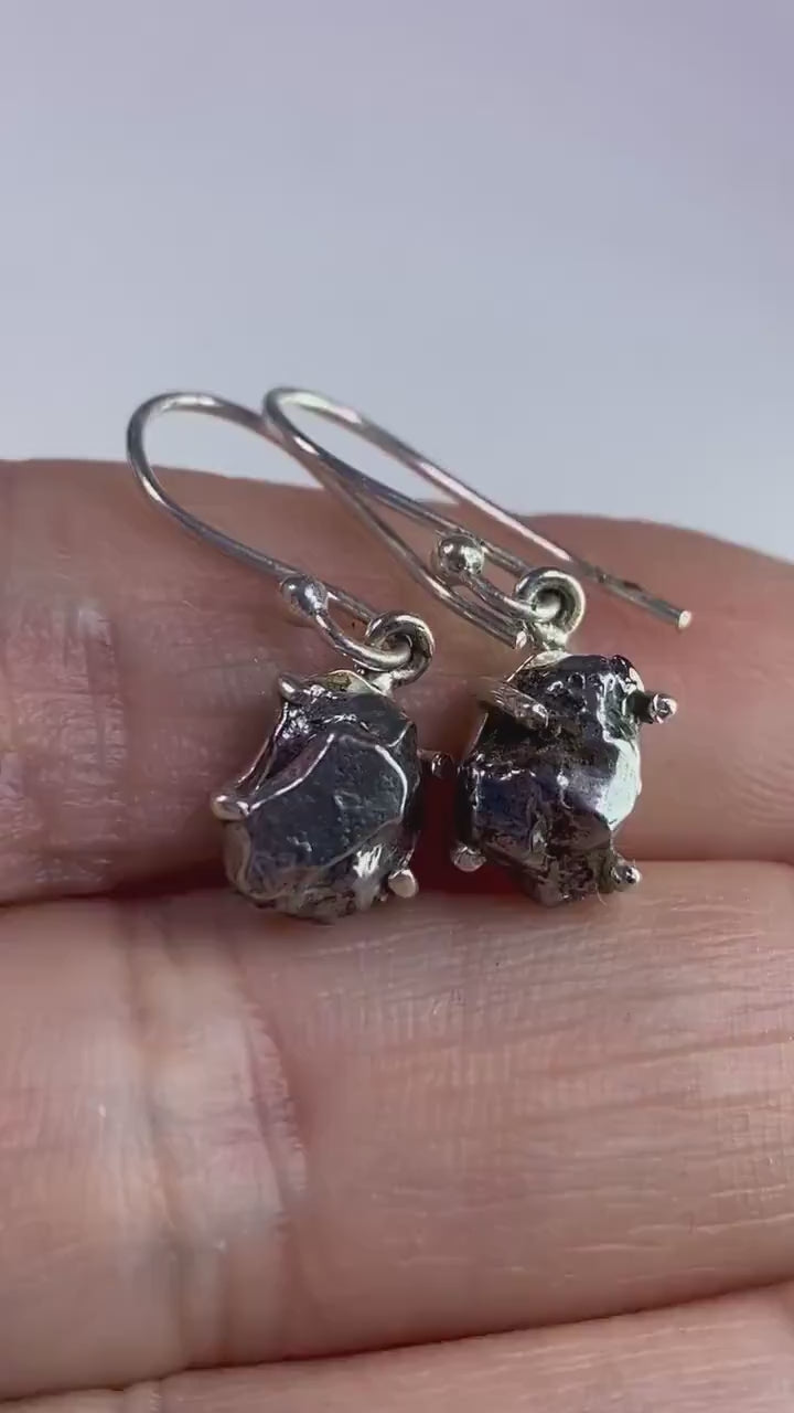 Meteorite Campo Del Cielo and Silver Dangle Earrings